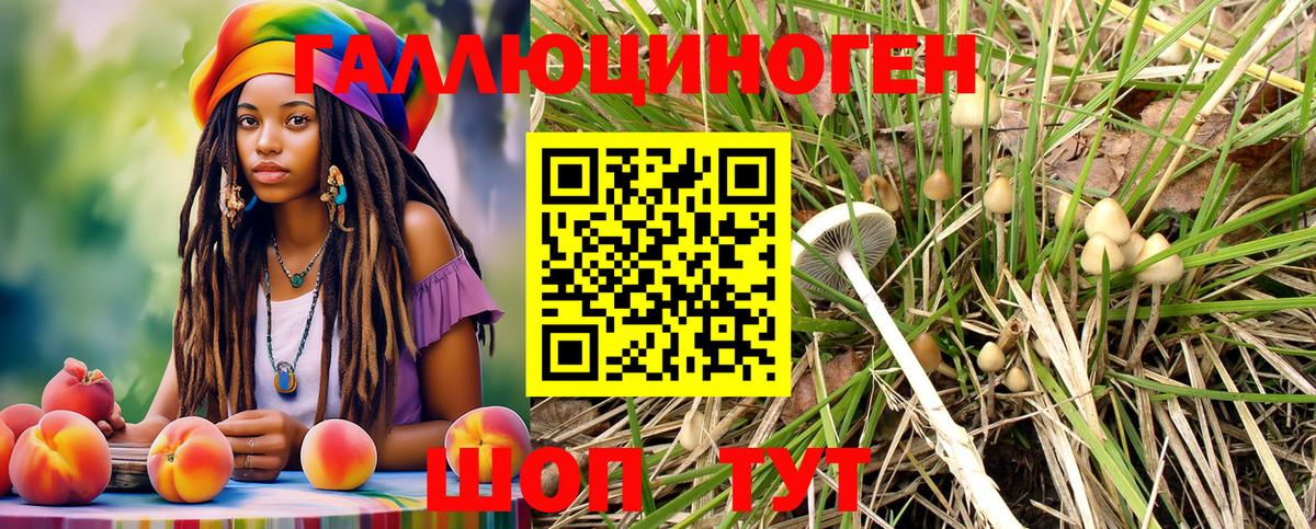 Галлюциногенные грибы Magic Shrooms  Вход с VPN  Владикавказ 
